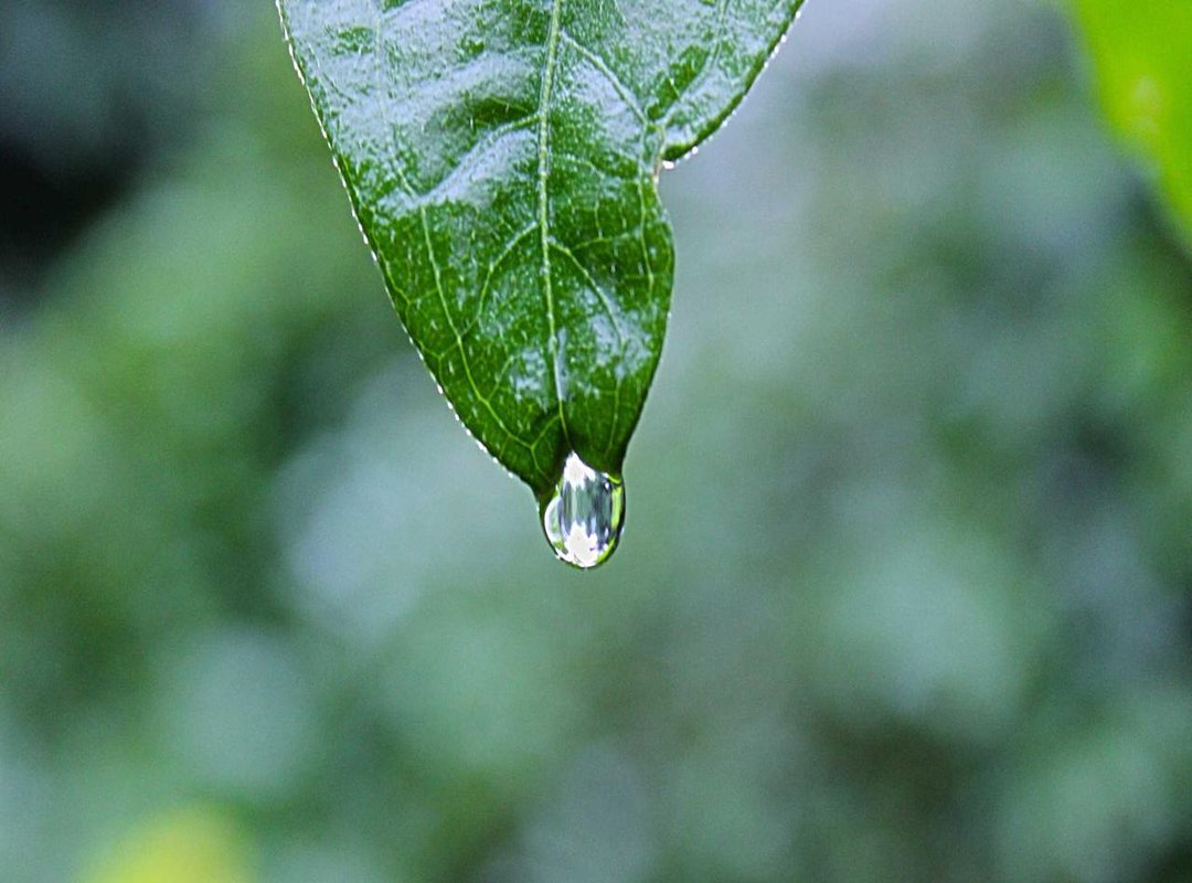 Navigating the First Few Dates: Etiquette and Expectations