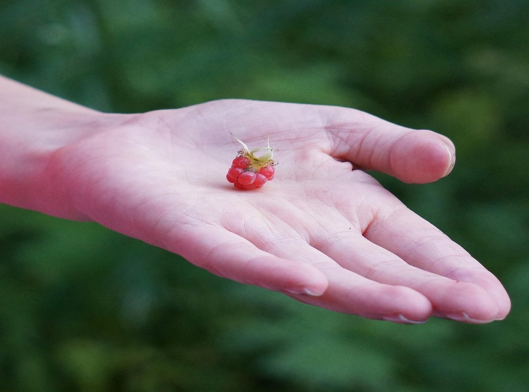 Tips for Finding Exactly What You're Looking For