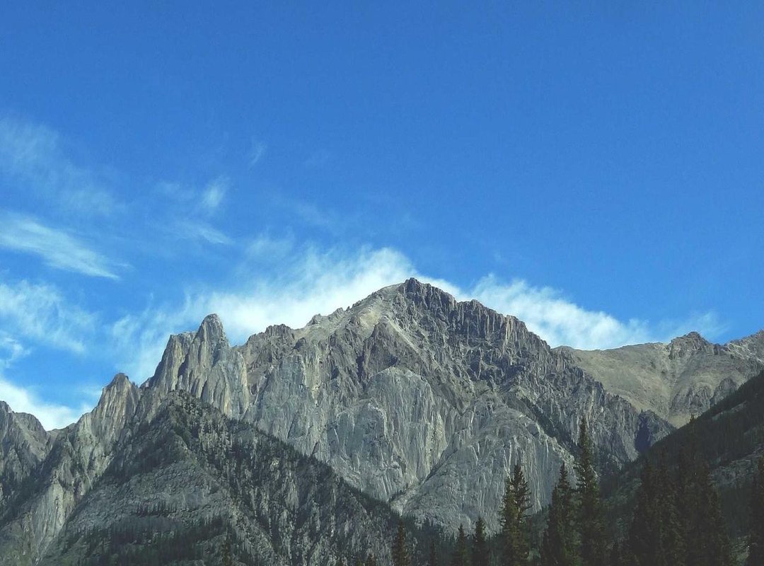 Complementary & Puzzle Piece Designs