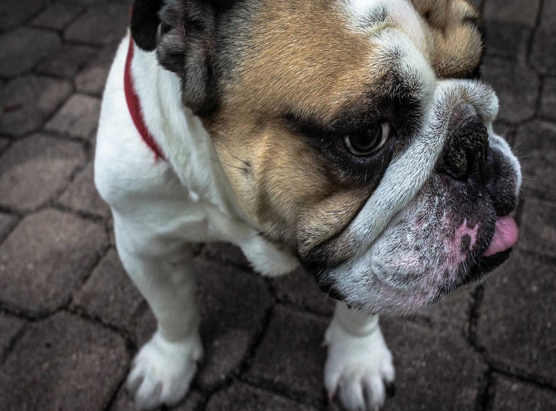 Behind the Scenes: Cast Secrets and Off-Screen Buzz